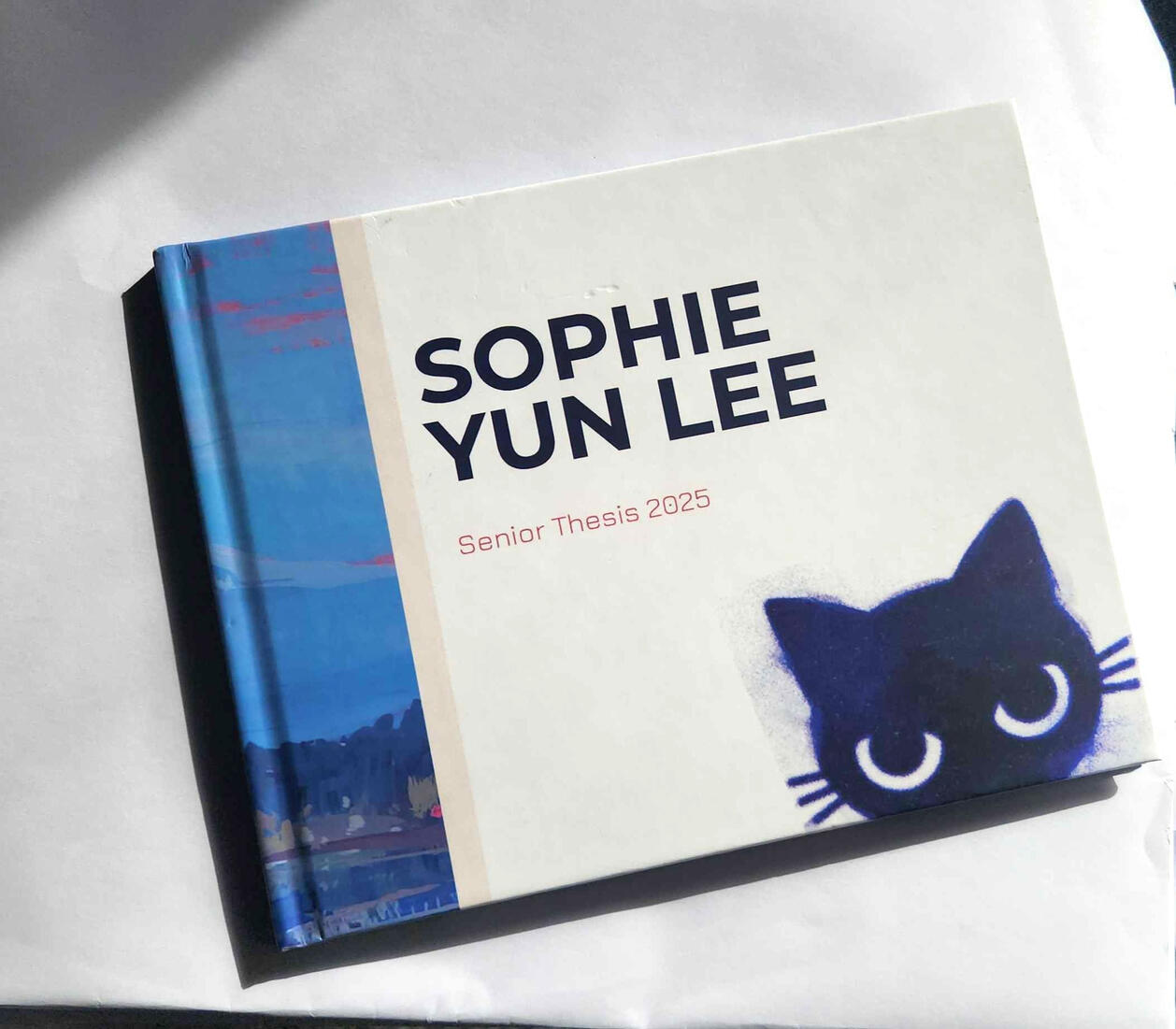 NCAD 2025 senior thesis book.